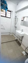 Blk 245 Bishan Street 22 (Bishan), HDB Executive #536561291